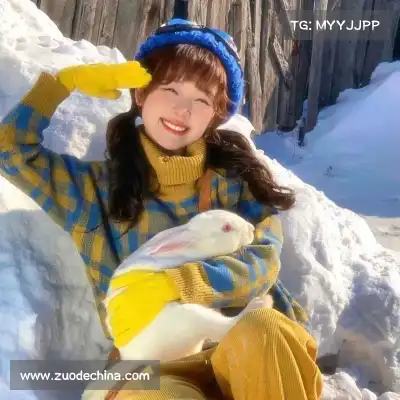秦莉凌